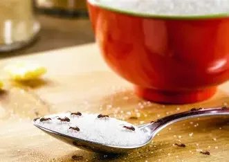 Close-up of a metal spoon with salt grains on it, placed on a wooden surface with a red bowl in the background.