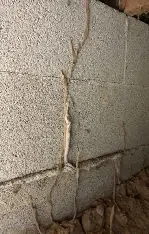 Exterior Termite Mud tubes.